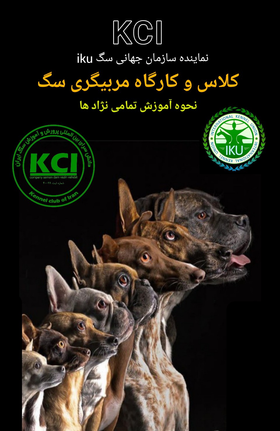 کلاس مربیگری سگ www.kciiku.ir